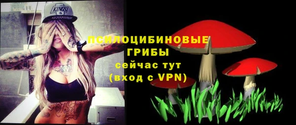 тгк Абаза