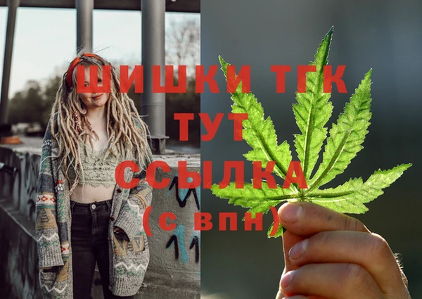 тгк Абаза