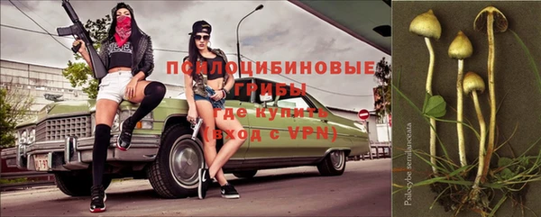 прущая мука Сосновый Бор
