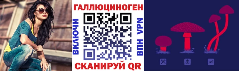 дарк нет клад  Шебекино  Галлюциногенные грибы мухоморы  как найти наркотики 